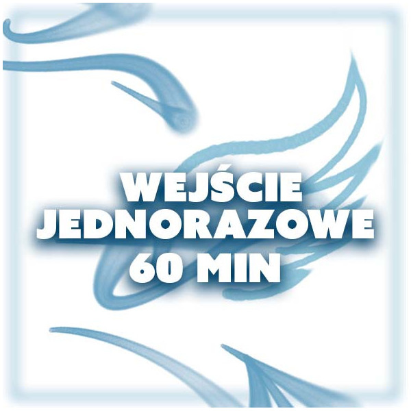 WEJŚCIE JEDNORAZOWE 60 MIN