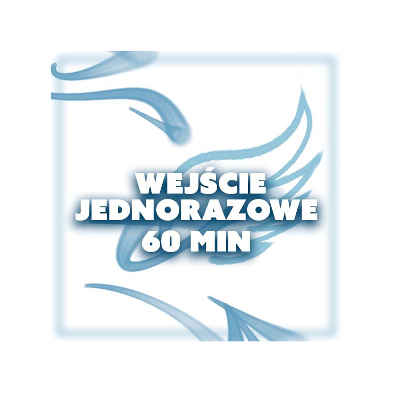 WEJŚCIE JEDNORAZOWE 60 MIN