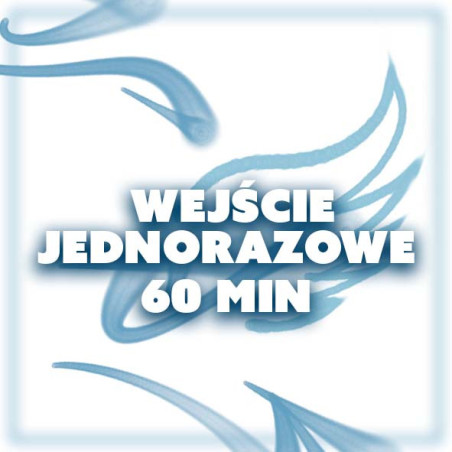 WEJŚCIE JEDNORAZOWE 60 MIN