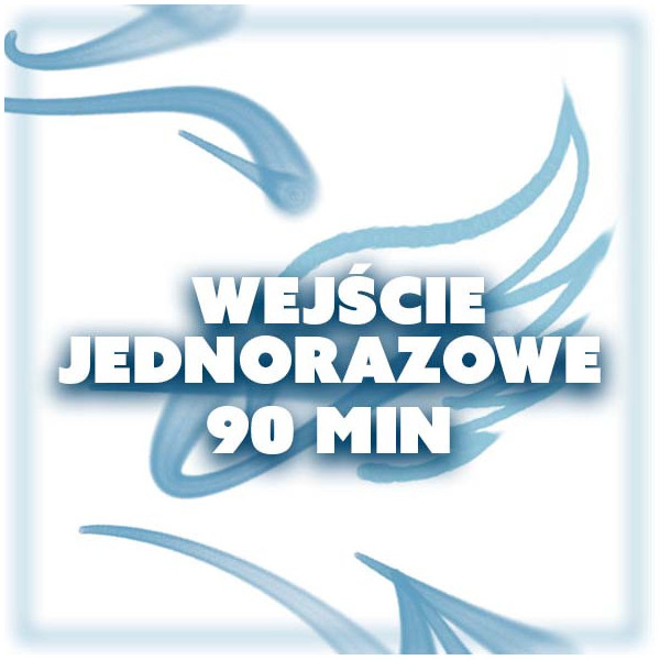 WEJŚCIE JEDNORAZOWE 90 MIN