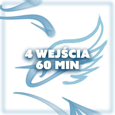 KARNET 4 WEJŚCIA - 60 MIN