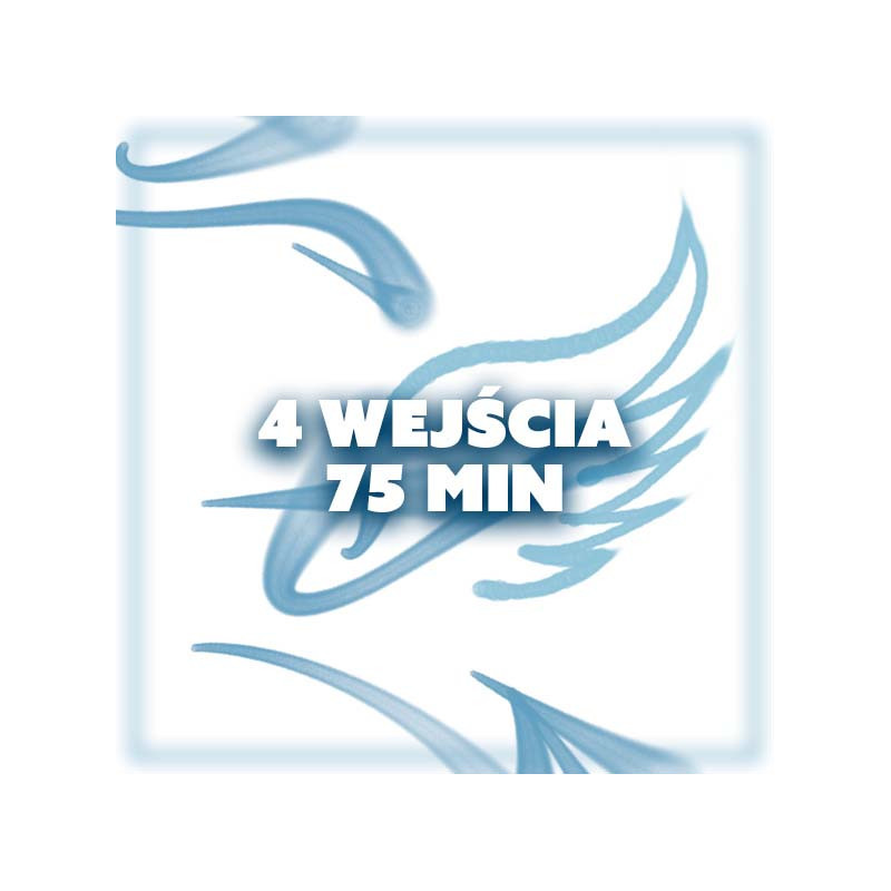KARNET 4 WEJŚCIA - 75 MIN