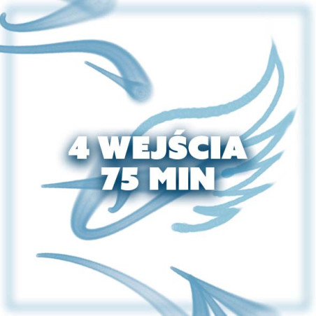 KARNET 4 WEJŚCIA - 75 MIN
