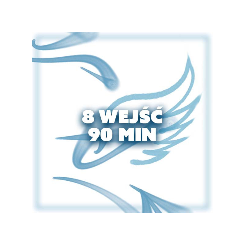 KARNET 8 WEJŚĆ - 90 MIN