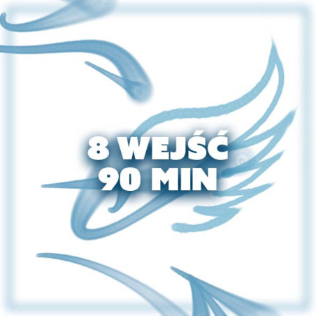 KARNET 8 WEJŚĆ - 90 MIN
