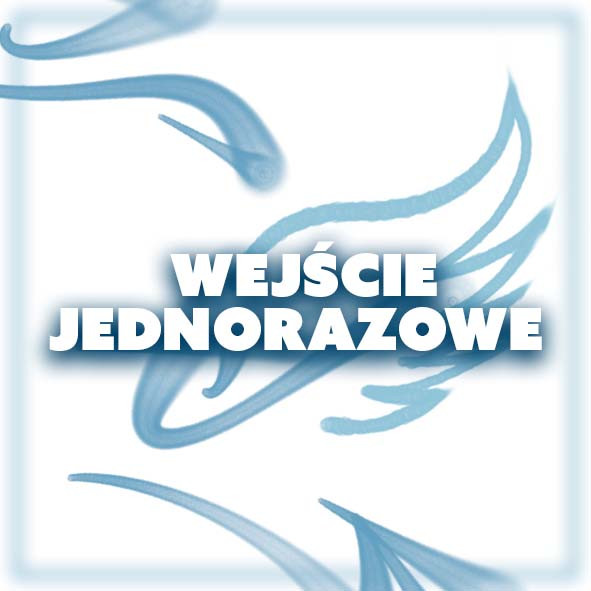 WEJŚCIE JEDNORAZOWE / ZAJĘCIA W GRUPACH